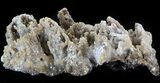 Sparkling, Calcite Stalactite Formation - Morocco #41782-1